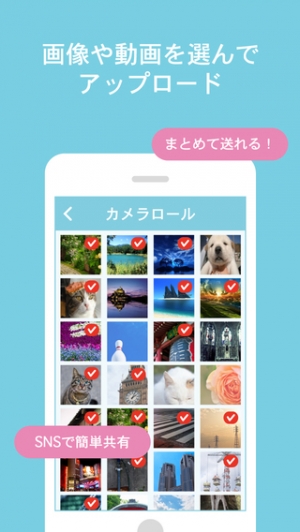 21年 おすすめの合言葉で写真を共有するアプリはこれ アプリランキングtop10 Iphone Androidアプリ Appliv