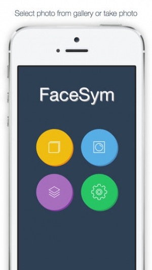 Appliv Facesym 顔の対称性テスト