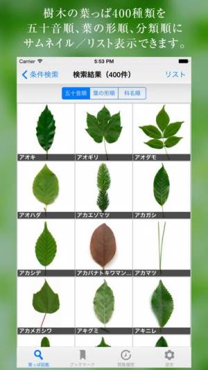 Appliv 葉っぱ図鑑 Leaf Dictionary