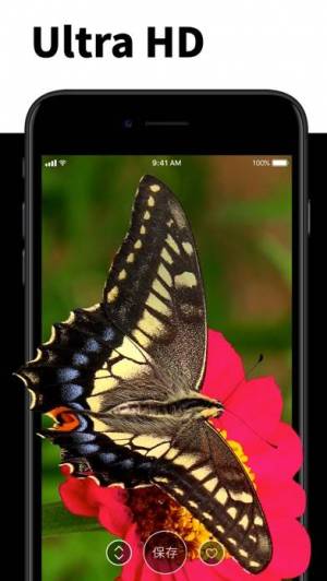 年 おすすめの風景 自然の壁紙を探すアプリはこれ アプリランキングtop10 Iphoneアプリ Appliv