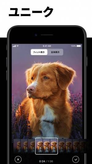 21年 おすすめの写真 画像 壁紙を探すアプリはこれ アプリランキングtop10 Iphone Androidアプリ Appliv