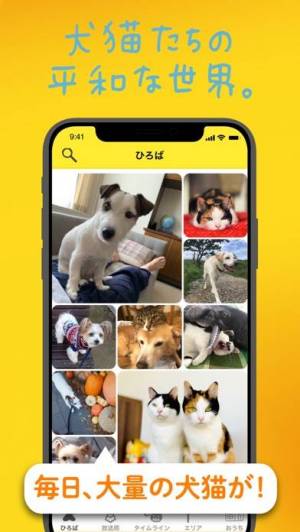 21年 おすすめの犬の画像 動画アプリはこれ アプリランキングtop10 Iphone Androidアプリ Appliv