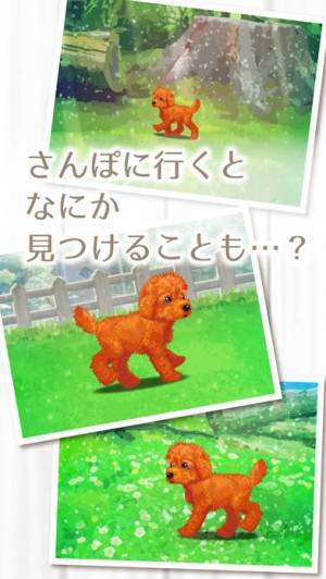 すぐわかる 癒しの子犬育成ゲーム トイプードル編 無料 Appliv