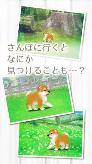 すぐわかる 癒しの子犬育成ゲーム 柴犬編 無料 Appliv