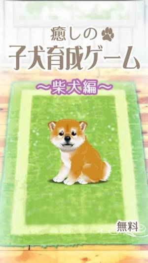 すぐわかる 癒しの子犬育成ゲーム 柴犬編 無料 Appliv