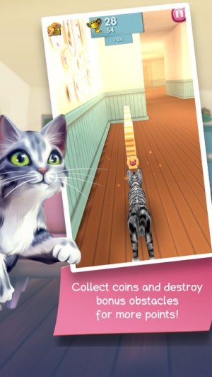 cat run 3