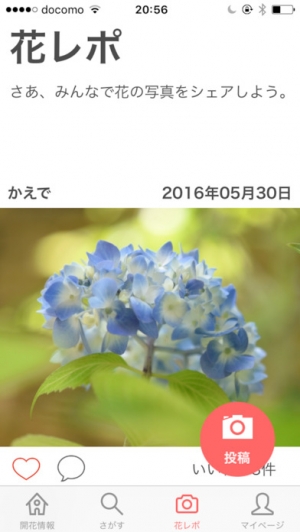 Appliv 花の名所案内 日本最大の花のデータベース
