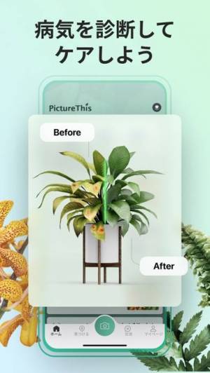 すぐわかる Picturethis 撮ったら 判る 1秒植物図鑑 Appliv