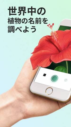 21年 おすすめの無料植物図鑑アプリはこれ アプリランキングtop9 Iphone Androidアプリ Appliv