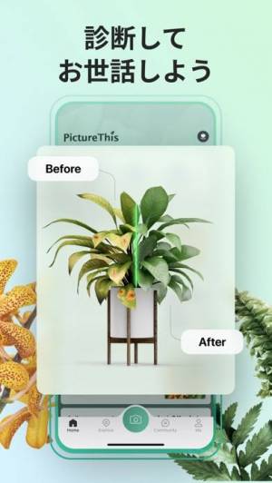 すぐわかる Picturethis 撮ったら 判る 1秒植物図鑑 Appliv