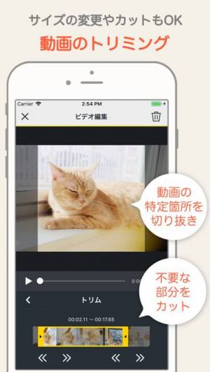 21年 おすすめの動画編集 フィルタ エフェクト アプリはこれ アプリランキングtop10 Iphone Androidアプリ Appliv