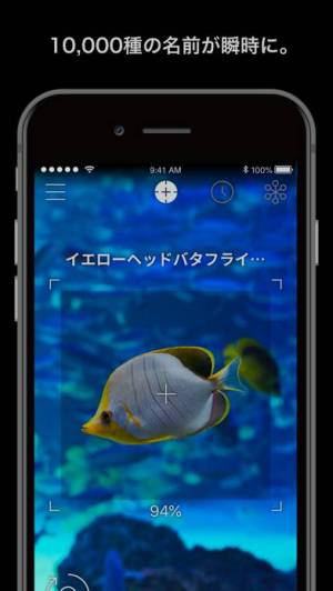 21年 おすすめの無料魚図鑑アプリはこれ アプリランキングtop3 Iphone Androidアプリ Appliv