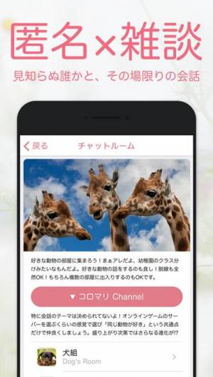 ロイヤリティフリー動物 と 会話 できる アプリ 最高の動物画像