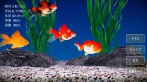 すぐわかる 金魚育成アプリ ポケット金魚 Appliv すぐわかる 金魚育成アプリ ポケット金魚 Appliv