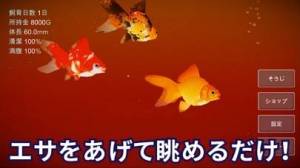 すぐわかる 金魚育成アプリ ポケット金魚 Appliv