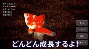 すぐわかる 金魚育成アプリ ポケット金魚 Appliv