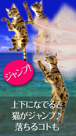 Appliv 猫っとベンガルがネコっ可愛くなでまくり遊べる無料ペットねこアプリ