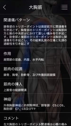Appliv 筋のトリガーポイント