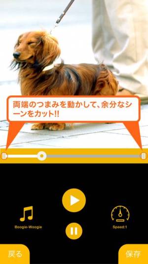 21年 おすすめの動画を逆再生するアプリはこれ アプリランキングtop8 Iphone Androidアプリ Appliv