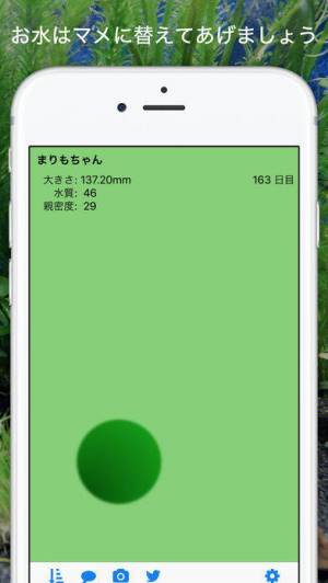 すぐわかる まりもちゃん Appliv