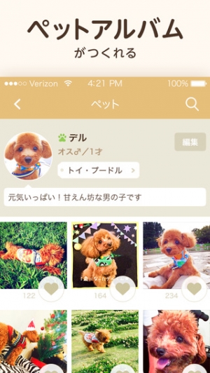 Appliv 犬や猫のかわいい動物写真満載 パシャっとmyペット