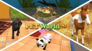 pet world