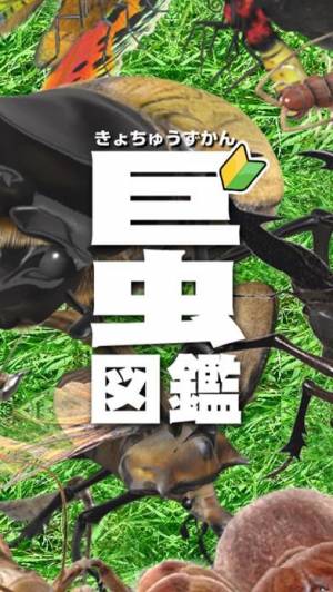 21年 おすすめの虫 昆虫アプリはこれ アプリランキングtop10 Iphone Androidアプリ Appliv