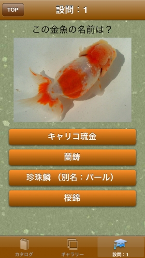 すぐわかる 日本金魚図鑑 Japanese Goldfish Appliv