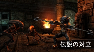 Appliv Avp Evolution