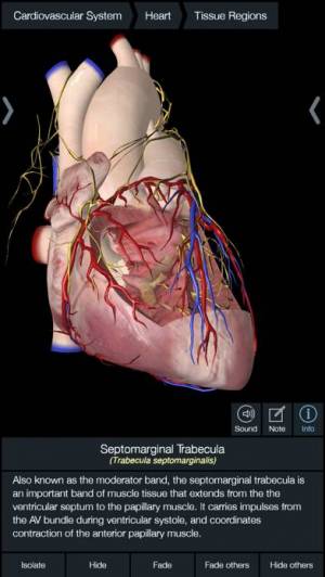 essential anatomy 5 crack essential anatomy 5 crack