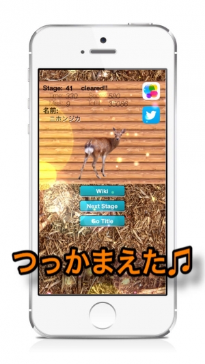 すぐわかる Animal Faces Touch Face To Face Animal Touch Game 動物の顔を記憶して早くタッチすることを競うクイズ Wikiへのリファレンスで動物王国の世界へ 生活の中で動物たちと触れ合おう Appliv