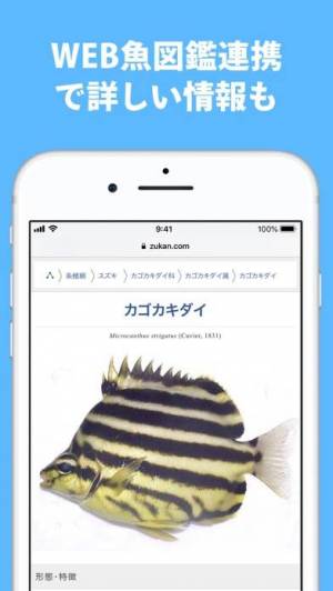 21年 おすすめの無料魚図鑑アプリはこれ アプリランキングtop3 Iphone Androidアプリ Appliv