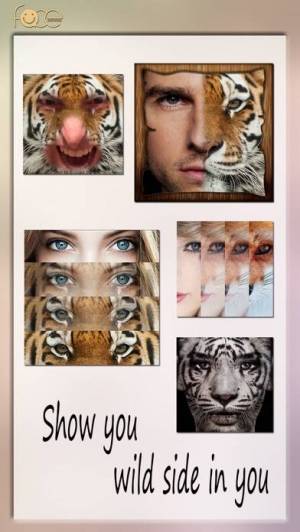 すぐわかる Instaface Face Eyes Blend Morph With Animal Effect Appliv