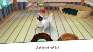 iPhone、iPadアプリ「Dog Hotel - 犬と遊ぶ」のスクリーンショット 4枚目