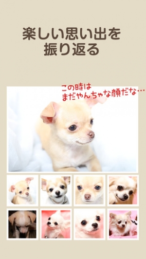 Appliv プロ直伝 犬のかわいい写真が撮れるカメラ バウメモリー