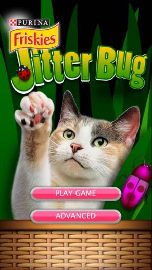 年 おすすめのペット 犬 猫 向けゲームアプリはこれ アプリランキングtop8 Iphoneアプリ Appliv