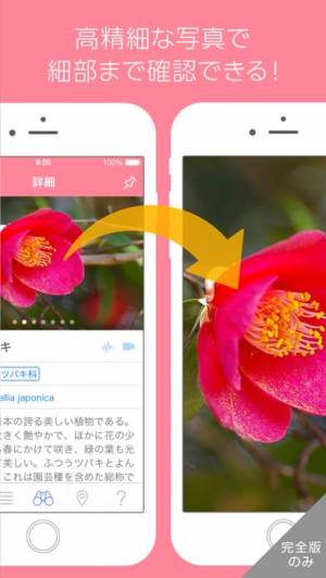 すぐわかる 美しい写真図鑑 にほんの植物 プチペディア Appliv