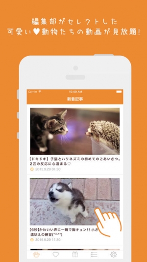 2020年 おすすめの動物動画アプリはこれ アプリランキングtop10 Iphoneアプリ Appliv