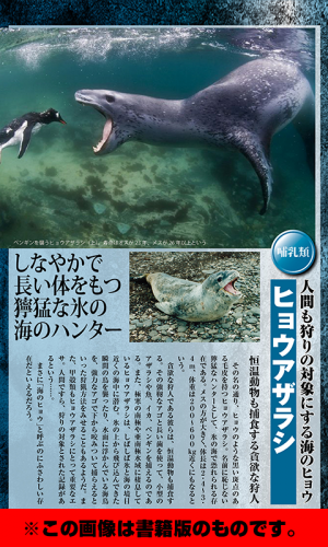 閲覧注意 実在する超巨大生物100以上 都市伝説なし のスクリーンショット 5枚目 Iphoneアプリ Appliv