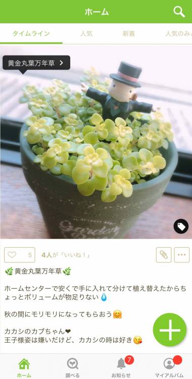Appliv Greensnap 植物 花の名前が判る写真共有アプリ