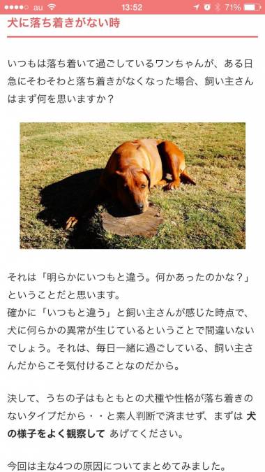 すぐわかる 犬のニュースや飼い方の情報をまとめ読み わんちゃんホンポ Appliv