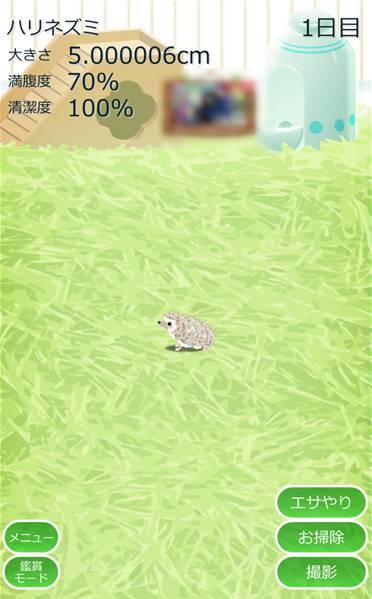 すぐわかる 癒しのハリネズミ育成ゲーム Appliv