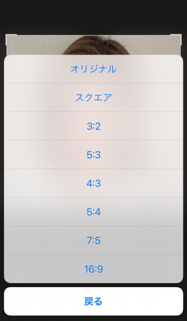 すぐわかる 油絵風 モザイク ぼかし加工 モザイク Appliv