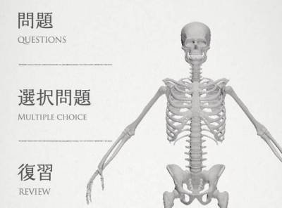 らくらく解剖学 骨 無料版 で楽しみながら骨の名前と位置を覚えよう Appliv Topics
