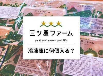 三ツ星ファームは冷凍庫に何個入る？ 入らない時の解決策・冷凍庫プレゼントプラン