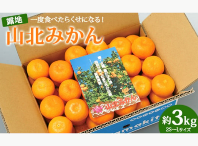 ふるさと納税返礼品_高知県香南市_ApplivTOPICS