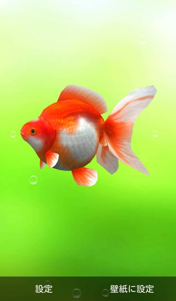 Appliv 金魚 Gold Fish 3d Free ライブ壁紙