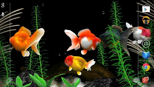 「金魚 Gold Fish 3D ライブ壁紙」のスクリーンショット 2枚目