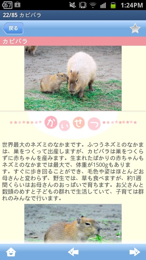 「赤ちゃん動物図鑑100」のスクリーンショット 3枚目
