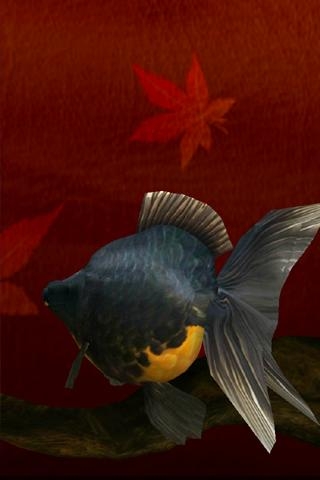 金魚 Gold Fish 3d Free ライブ壁紙のスクリーンショット 4枚目 Iphoneアプリ Appliv